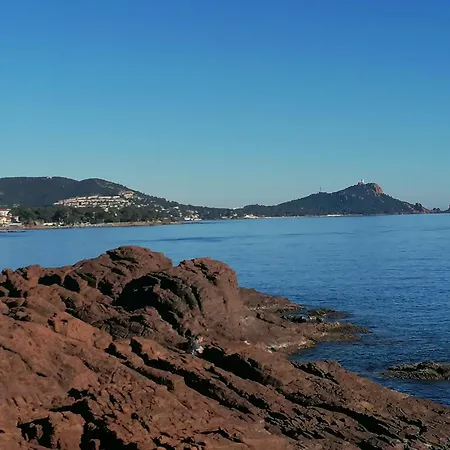 Estivales 2 *