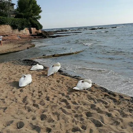 아파트 Estivales 2 *