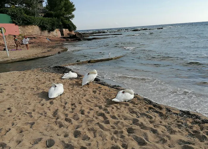 아파트 Estivales 2 *